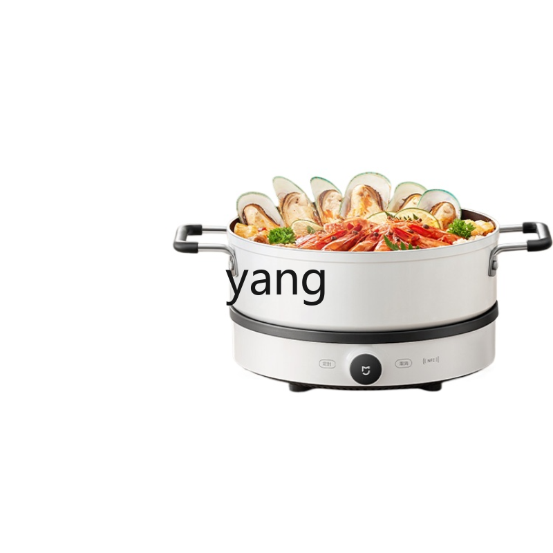 LMM Inductiekookplaat Huishoud - Induction Cooker recensie en prijs
